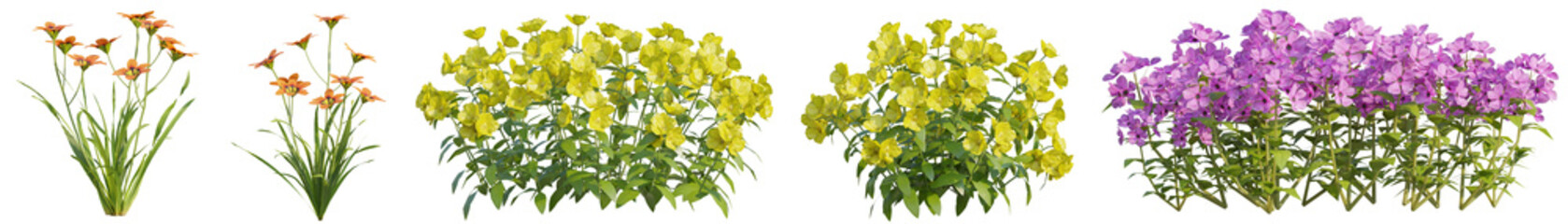 Set of beautiful flora and flowers in garden with isolated on transparent background - PNG file, 3D rendering
