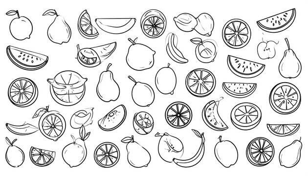 Simple black line drawing of various fruit slices