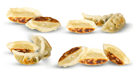 pan-fried gyoza dumplings with crispy bottoms on a dark background