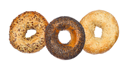 variety of freshly baked bagels, including everything, poppy seed, and sesame seed, displayed on a transparent background