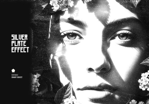 Dramatic Artistic Silver Plate Photo Effect