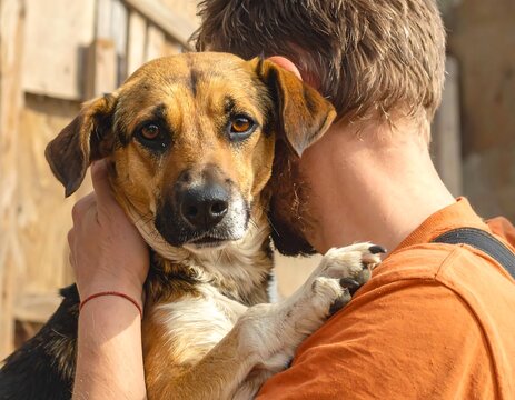 A person tenderly holds a dog
