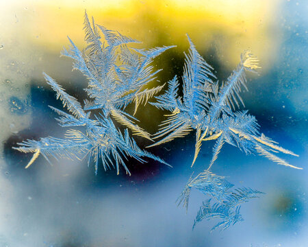 crystalline frost pattern on a window 