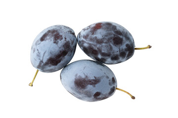 透明背景（png）に3つのプルーン