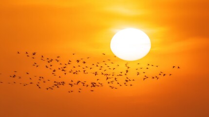 Migrating flock of birds flying across sunset sky, wildlife conservation and natural environment protection concept.