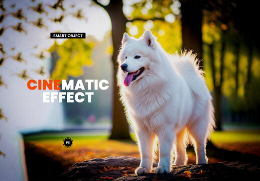 Cinematic Photography Photo Effect Mockup