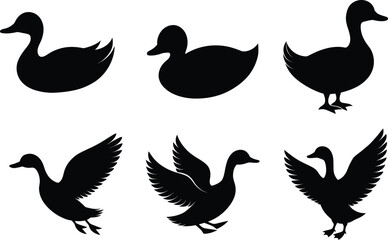 set of silhouettes of  duck birds