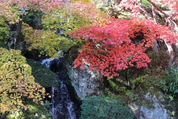 箱根美術館の庭園内の小さな滝と紅葉した木の風景