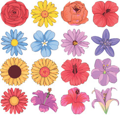 Assorted flowers vector art illustration featuring rose daisy sunflower hibiscus lily and more floral elements