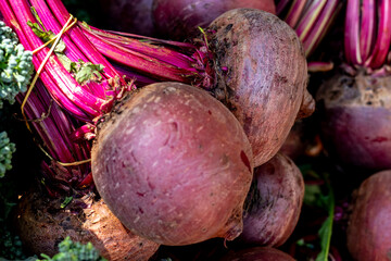 Beautiful beets at the street market