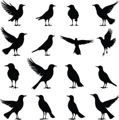 Obraz premium Bird Silhouette Icon Doodle Set – Black and White Vector Illustrations of Flying, Standing, and Perching Birds