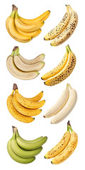 A vertical arrangement of bananas in various stages of ripeness, showcasing the transition from green to yellow with brown spots, isolated on transparent background