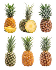 A vibrant assortment of pineapples isolated on transparent background, showcasing a variety of shapes, sizes, and colors, perfect for tropical themes and healthy eating concepts