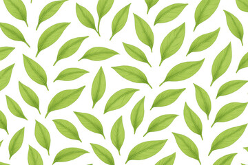 Green tropical plant leaves creating a fresh natural seamless pattern on transparent background