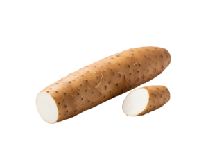 Yam root vegetable dioscorea batatas healthy food ingredient closeup view