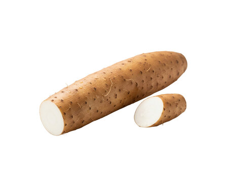 Yam root vegetable dioscorea batatas healthy food ingredient closeup view