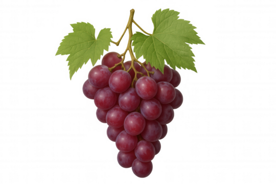 Red grape bunch hanging with green leaves, fresh ripe fruit on a vine, healthy food for a diet, transparent background