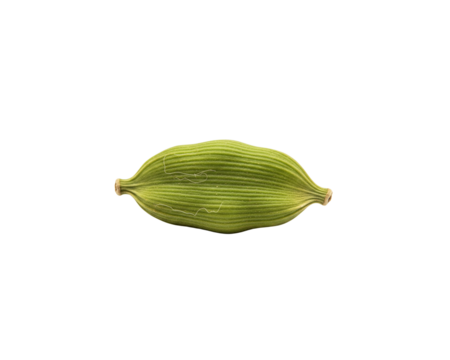 Cardamom spice pod green cooking ingredient flavor aromatic closeup food