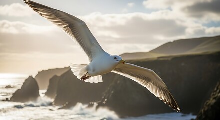Seagull soaring above the rugged coastal cliffs.