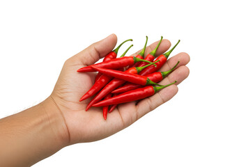 Hand holding red chili peppers isolated on white or transparent background. PNG