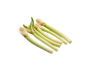 Fresh edible daylily stems for sale healthy vegetable ingredient food