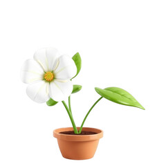 A delicate white flower with yellow center blooms in a terracotta pot against a black background
