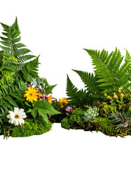 Lush, vibrant arrangement of exotic plants.  Diverse foliage, ferns, flowers, succulents, and greenery in a  natural setting