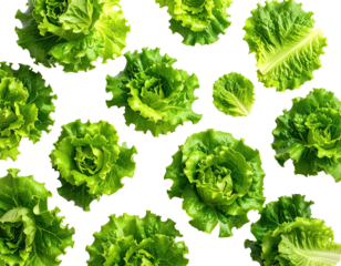 Fresh, vibrant green lettuce leaves arranged in a circular pattern on a black background