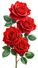 Obraz premium A vibrant bouquet of three rich red roses