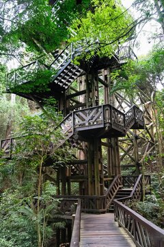 German Woods Viewpoint built in wood, Curitiba Municipal Park, Paran&aacute; state, Brazil