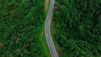 Fototapeta premium Aerial view of dark green forest road and white electric car Natural landscape and elevated roads Adventure travel and transportation and environmental protection concept 