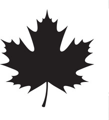 Thanksgiving Maple Leaf Silhouette Vector Black on White