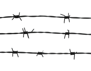 Three rows of dark barbed wire