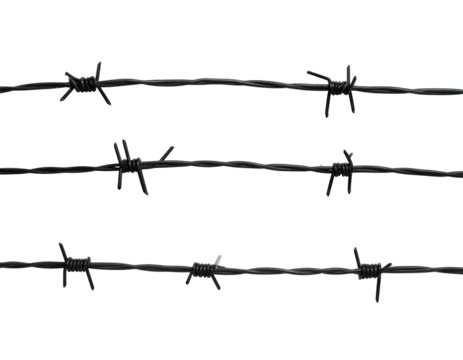 Three rows of dark barbed wire
