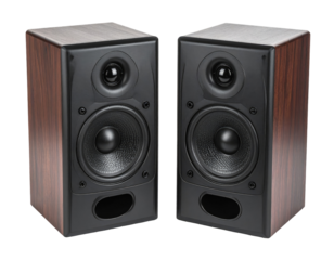 Pair of wooden speakers