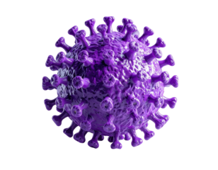 3D model of a purple virus