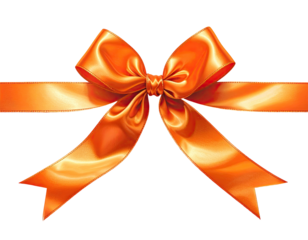 Orange ribbon bow on black (2)