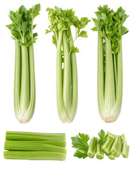 Fresh celery stalks and leaves isolated on transparent background, a crisp and healthy vegetable, perfect for salads, snacks, and adding a refreshing crunch to dishes