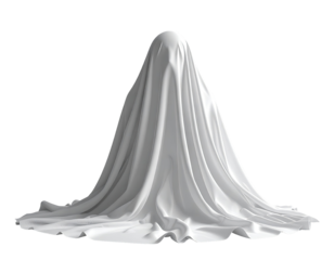 A white cloth draped over a hidden form
