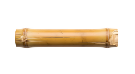 A section of bamboo isolated on transparent background, showcasing its segmented structure, smooth texture, and natural yellowbrown color, evoking a sense of nature