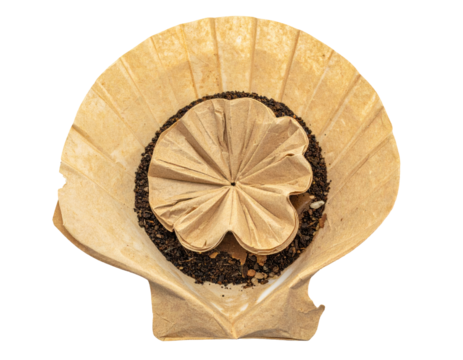 Coffee filter in shell-shaped holder