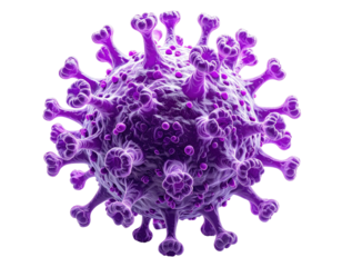 Purple virus micrograph