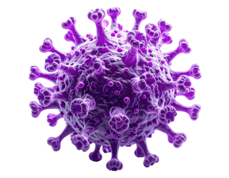 Purple virus micrograph