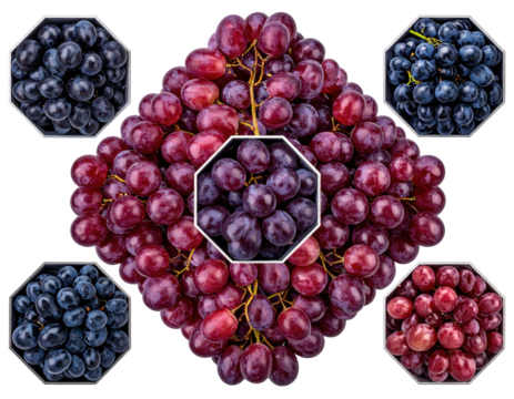 Assorted red and blue grapes in geometric arrangement