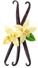 Two vanilla pods crossed, with two vanilla orchid blossoms