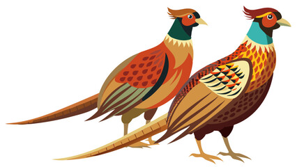 Obraz premium A colorful vector art illustration featuring two elegant common pheasant birds