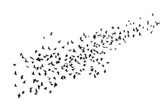 Abstract swirling cluster of tiny particles in various colors against a black background