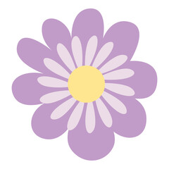 Delicate purple flower with yellow center and white petals, perfect for spring, feminine, or elegant floral designs.

