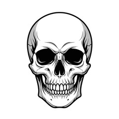 Fototapeta premium Detailed Human Skull Vector Illustration in Black and White