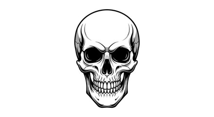 Obraz premium Front View Human Skull Vector Outline Illustration